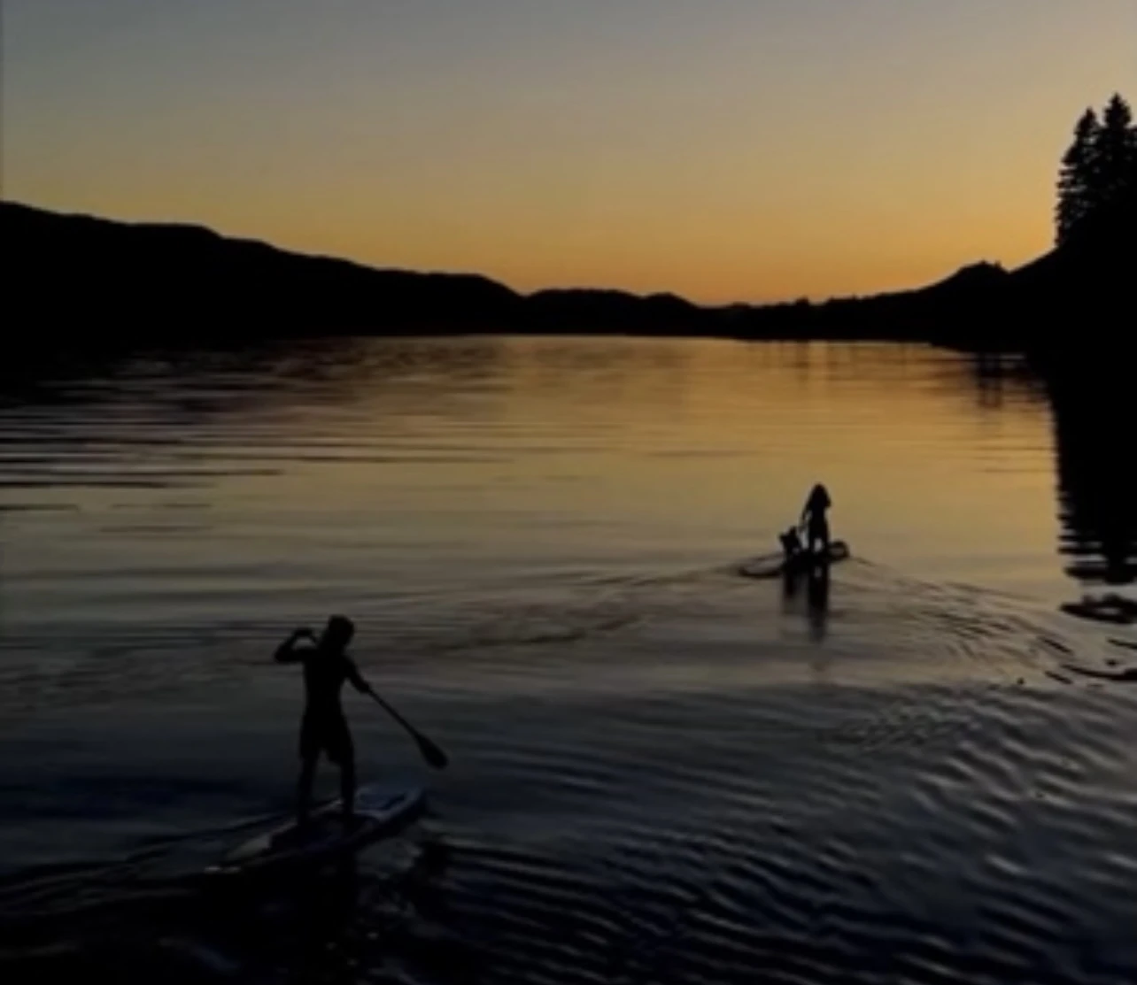 Paddleboarders on Cowichan Lake at sunset